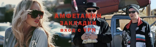 шишки Сясьстрой