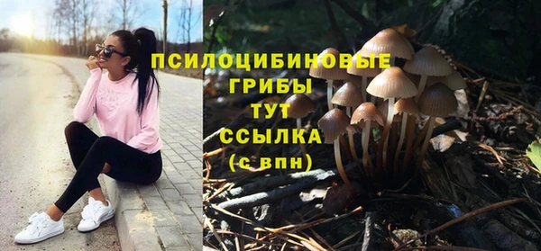 дурь Ладушкин