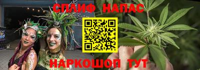 гидра Обнинск