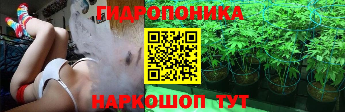 Бошки Шишки OG Kush  Вход с VPN  Мончегорск  Канабис семена  Марихуана LSD WEED 